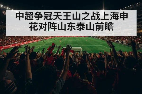 中超争冠天王山之战上海申花对阵山东泰山前瞻