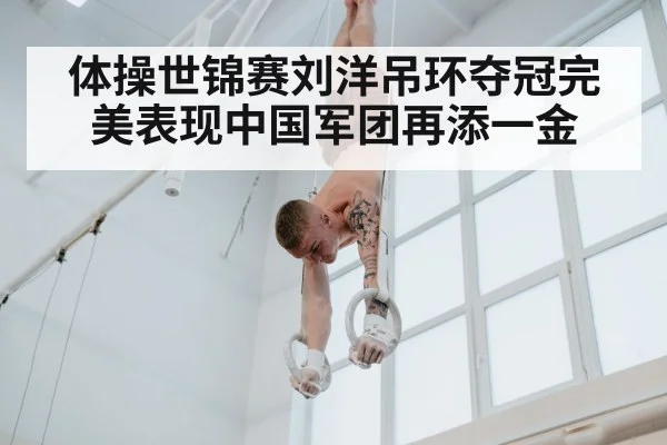 gymnastics rings competition