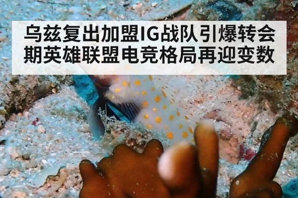 乌兹复出加盟IG战队引爆转会期英雄联盟电竞格局再迎变数